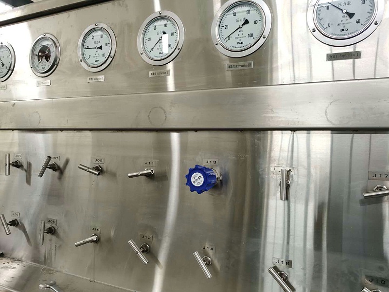 超臨界CO2萃取蜜桃国产精品无码视频