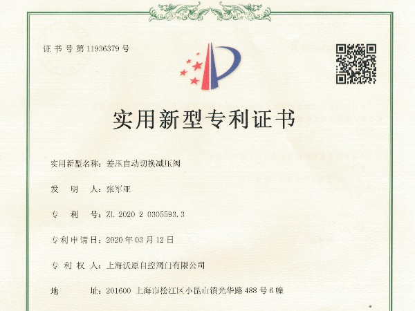 差壓自動切換蜜桃精品国产一区二区