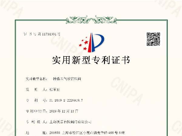 一種微壓氣液蜜桃国产精品无码视频